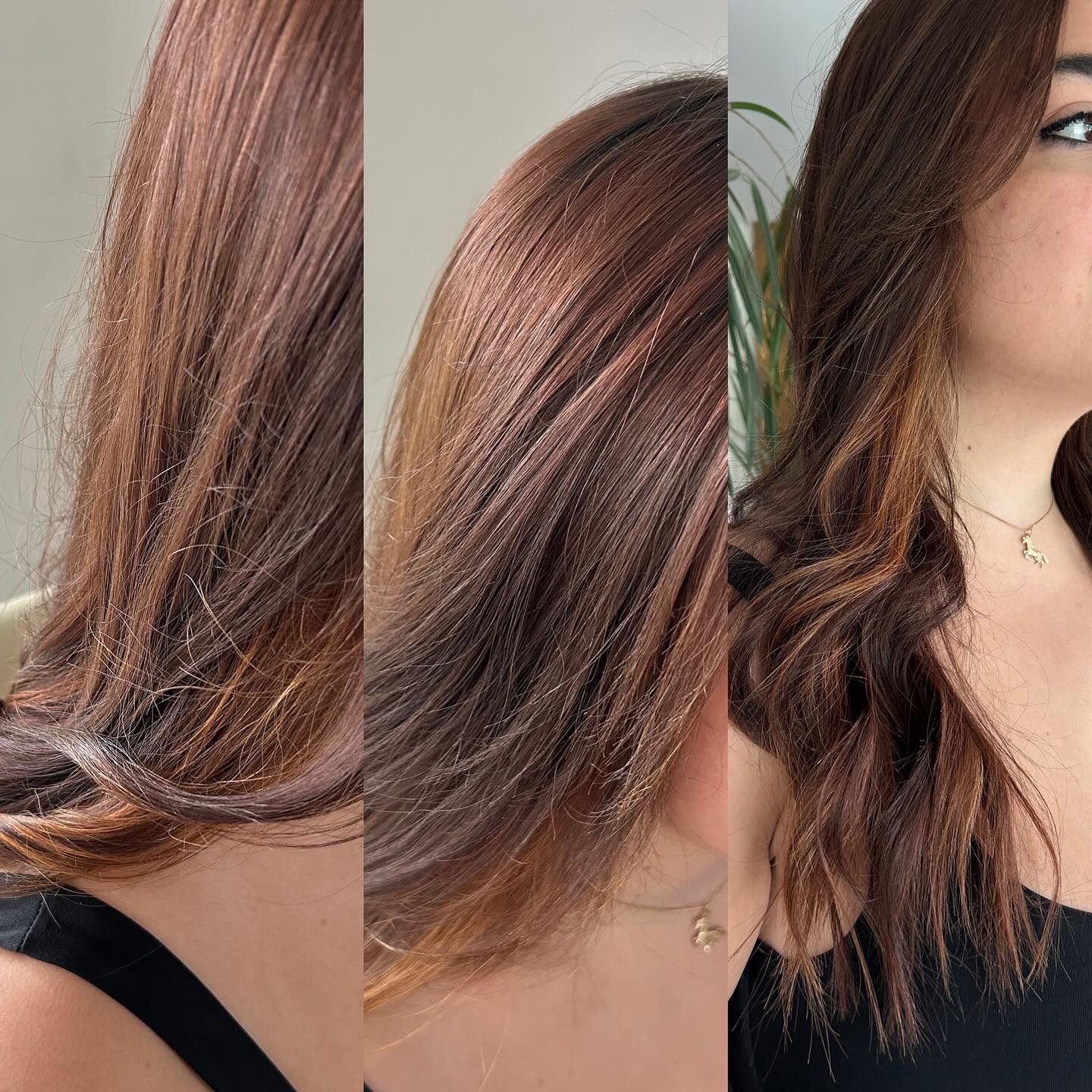 Couleurs & ombré hair